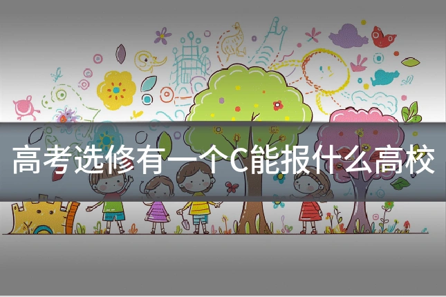 高考选修有一个C能报什么高校