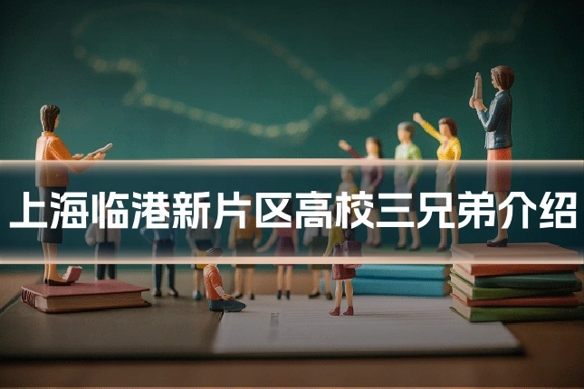 上海临港新片区高校三兄弟介绍