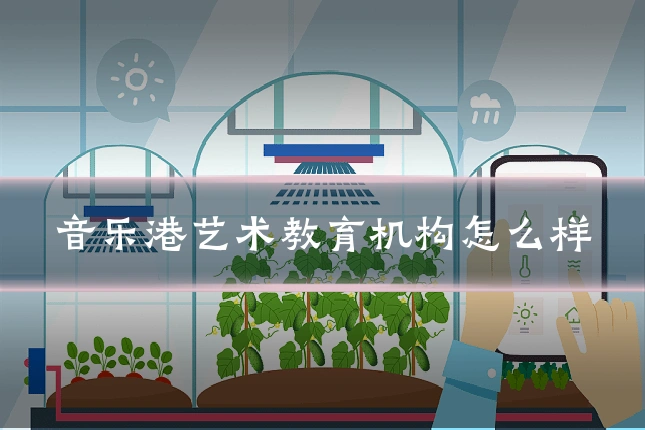 音乐港艺术教育机构怎么样