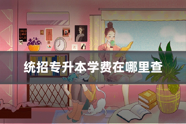 统招专升本学费在哪里查