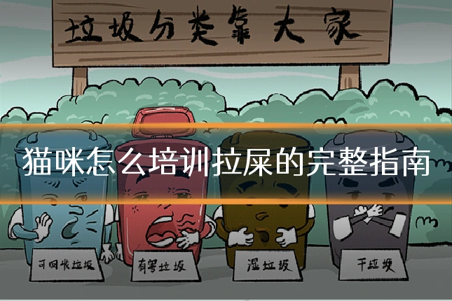 猫咪怎么培训拉屎的完整指南