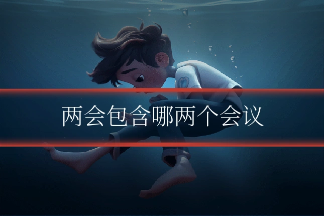 两会包含哪两个会议