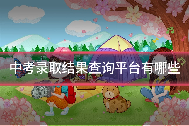 中考录取结果查询平台有哪些