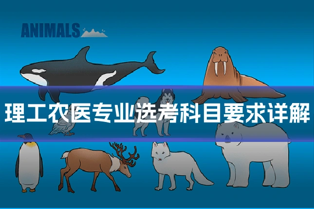理工农医专业选考科目要求详解