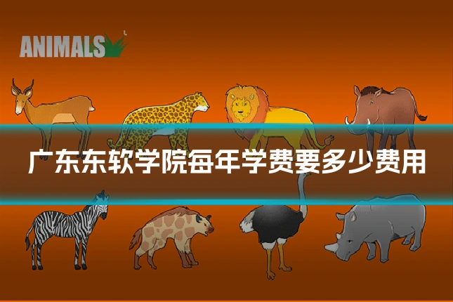 广东东软学院每年学费要多少费用