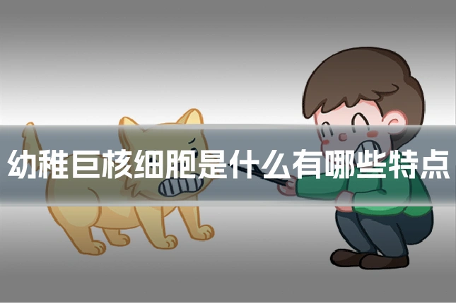 幼稚巨核细胞是什么有哪些特点