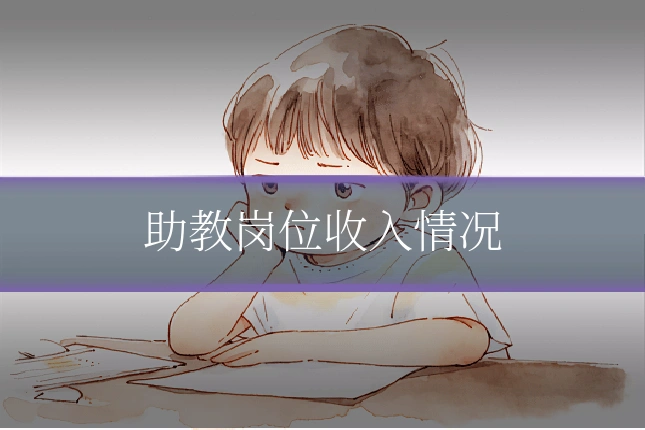 助教岗位收入情况
