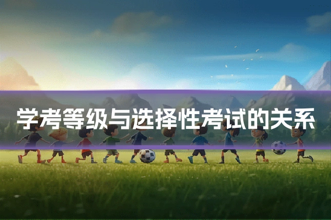 学考等级与选择性考试的关系