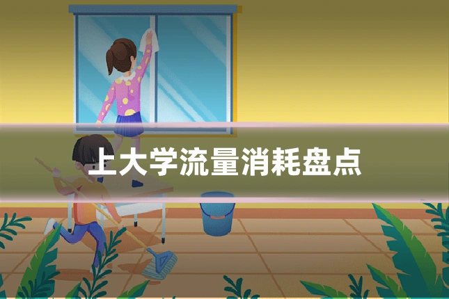 上大学流量消耗盘点