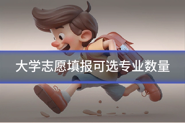 大学志愿填报可选专业数量