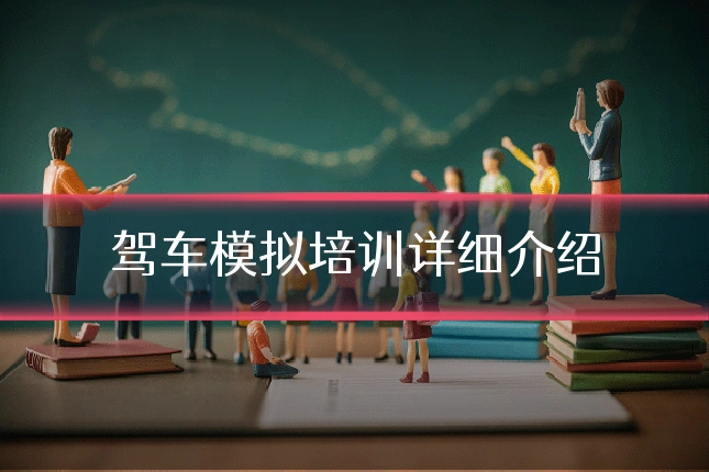 驾车模拟培训详细介绍