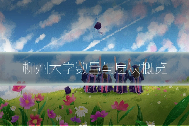 柳州大学数量与层次概览