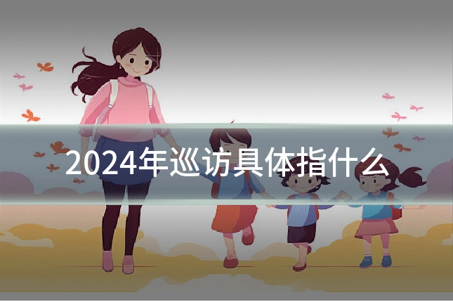 2024年巡访具体指什么