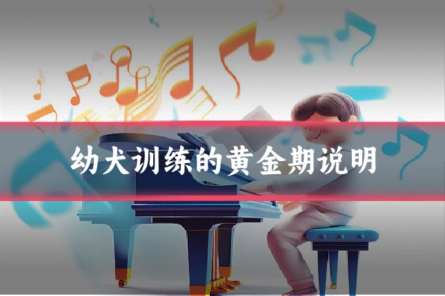 幼犬训练的黄金期说明