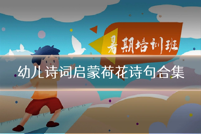 幼儿诗词启蒙荷花诗句合集