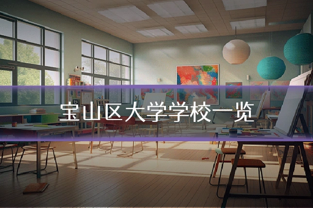 宝山区大学学校一览