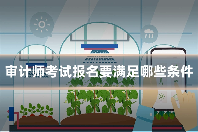 审计师考试报名要满足哪些条件