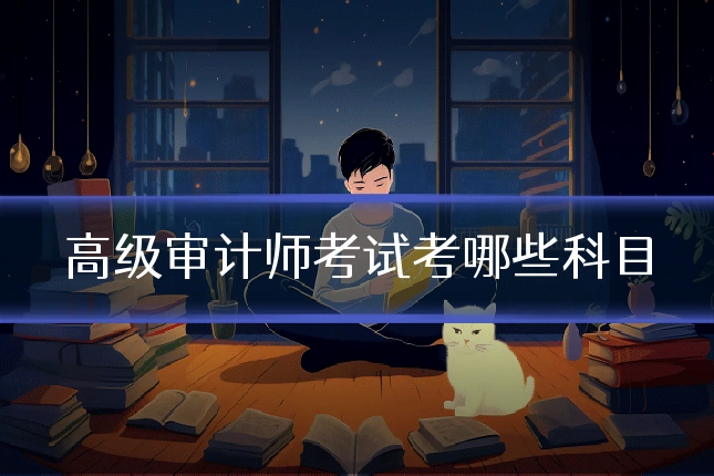 高级审计师考试考哪些科目