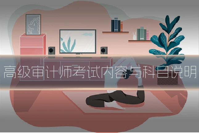 高级审计师考试内容与科目说明