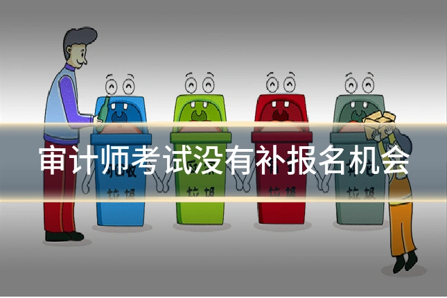 审计师考试没有补报名机会