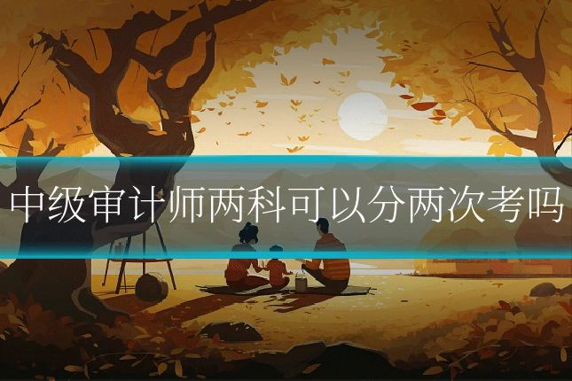 中级审计师两科可以分两次考吗