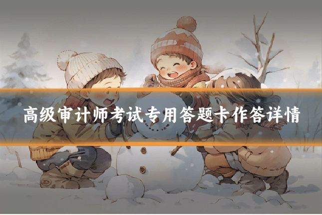 高级审计师考试专用答题卡作答详情