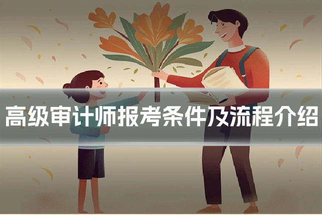 高级审计师报考条件及流程介绍
