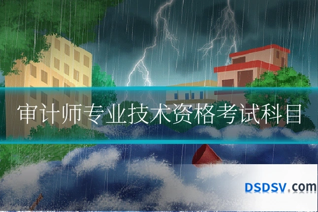 审计师专业技术资格考试科目