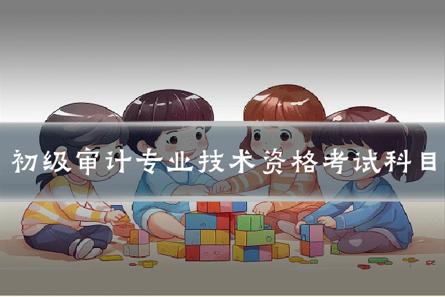 初级审计专业技术资格考试科目