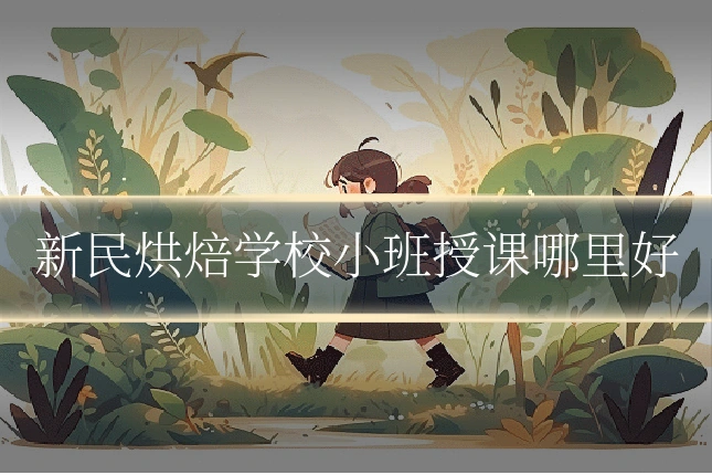新民烘焙学校小班授课哪里好
