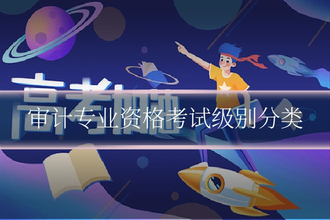 审计专业资格考试级别分类