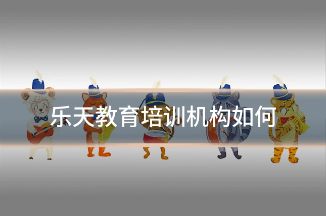 乐天教育培训机构如何