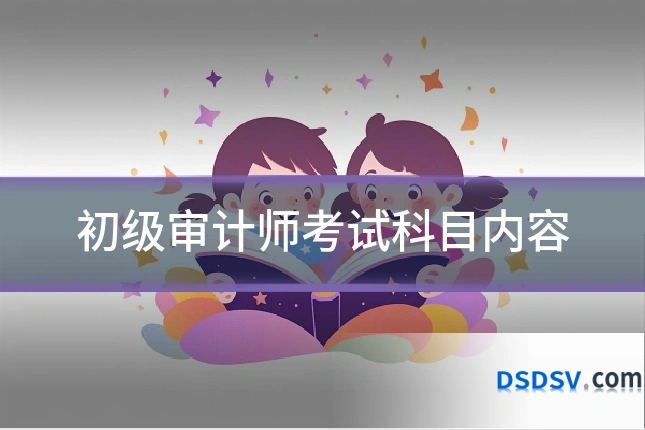 初级审计师考试科目内容