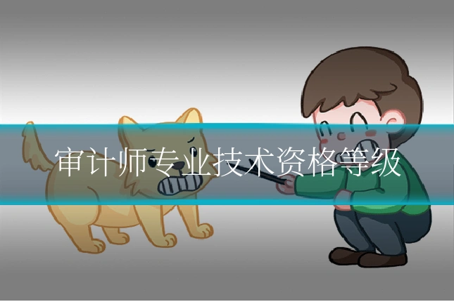 审计师专业技术资格等级