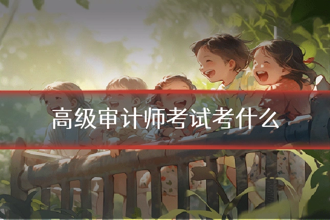 高级审计师考试考什么