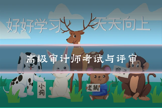 高级审计师考试与评审
