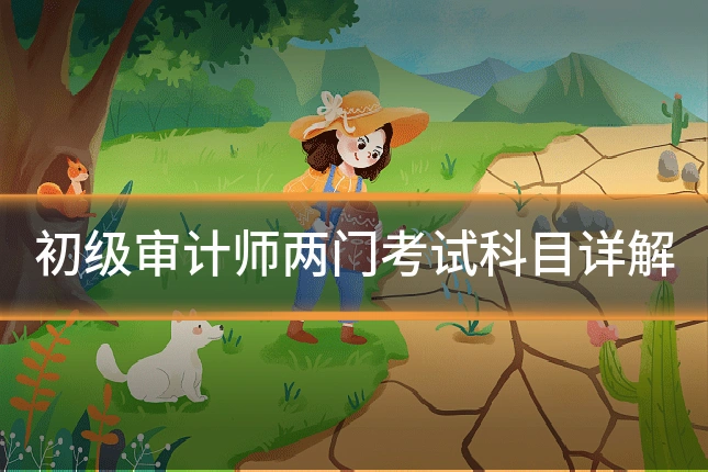 初级审计师两门考试科目详解