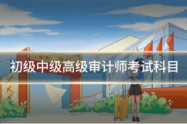 初级中级高级审计师考试科目