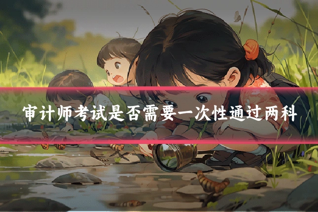 审计师考试是否需要一次性通过两科
