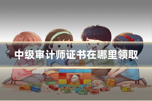中级审计师证书在哪里领取
