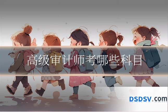 高级审计师考哪些科目