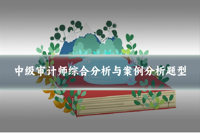中级审计师综合分析与案例分析题型