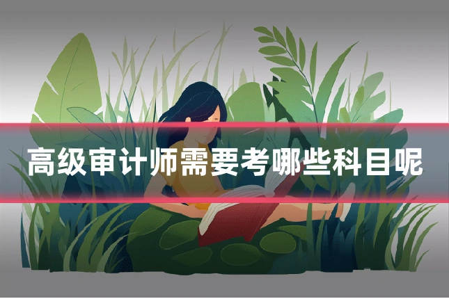 高级审计师需要考哪些科目呢
