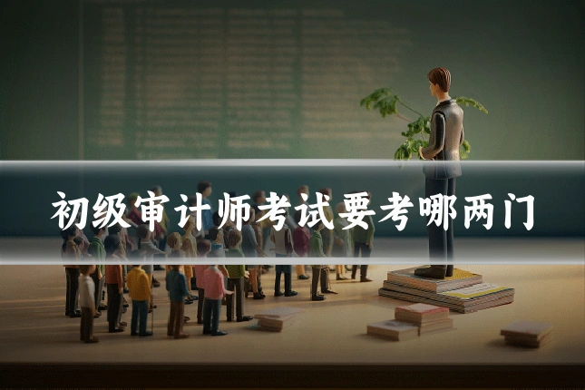 初级审计师考试要考哪两门
