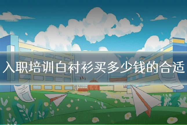 入职培训白衬衫买多少钱的合适