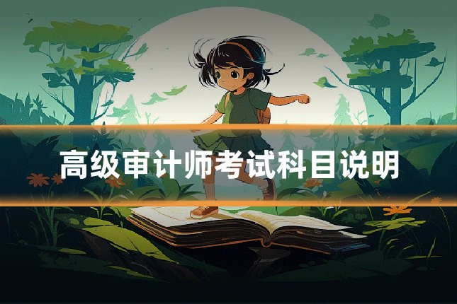 高级审计师考试科目说明