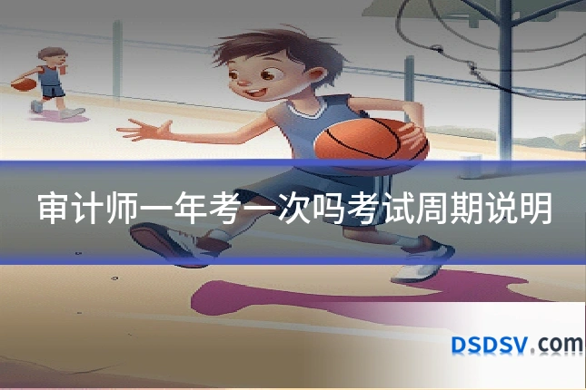 审计师一年考一次吗考试周期说明