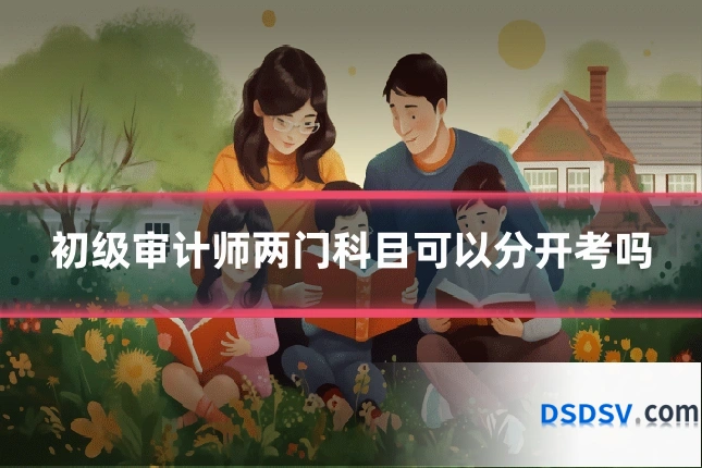 初级审计师两门科目可以分开考吗