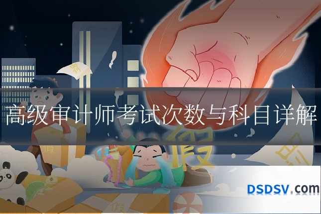 高级审计师考试次数与科目详解