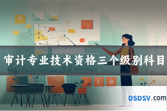 审计专业技术资格三个级别科目